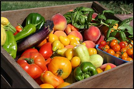 csa-inside-pic csa-inside-pic